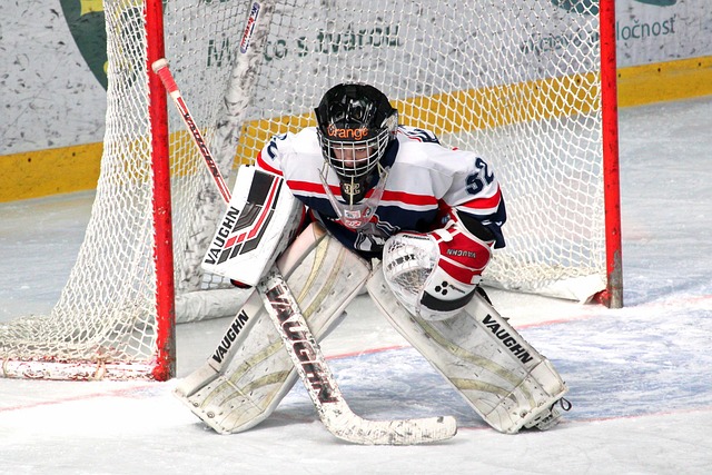 在部分项目 在部分项目