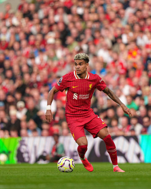 巴塞罗那的 巴塞罗那的