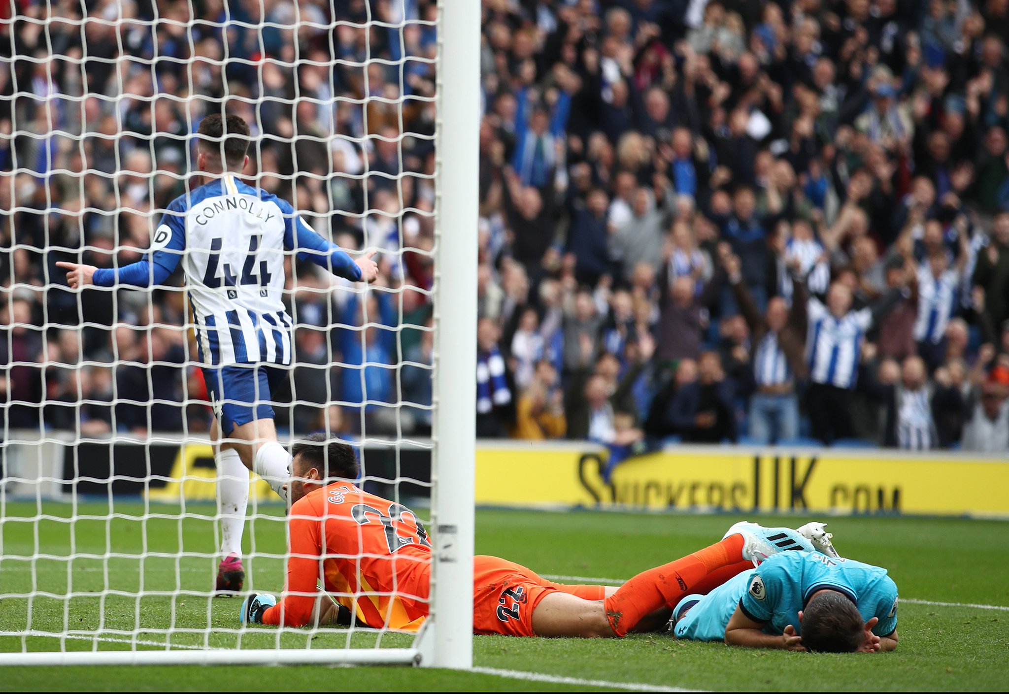 这一球不仅 这一球不仅