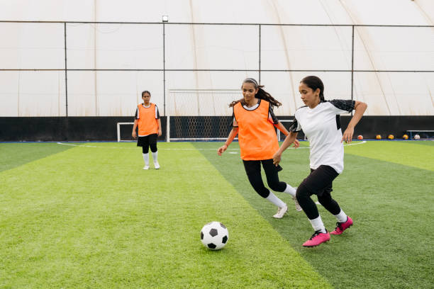 多样化的能 多样化的能