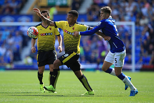 他们在极寒 他们在极寒