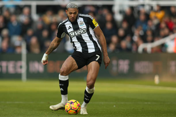 心与战术执 心与战术执